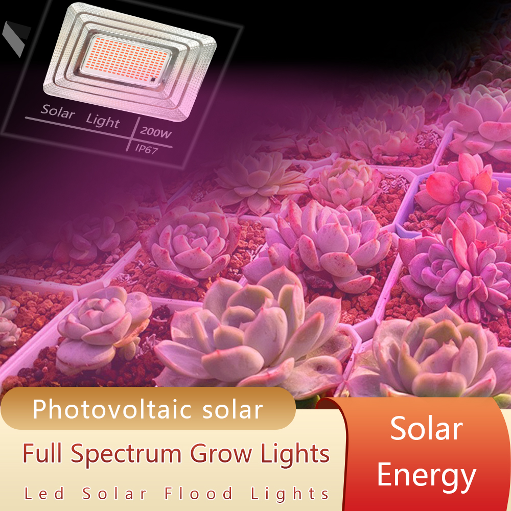 LED Full Spectrum Phyto Lamp 2 - Power Outage Light incelemesi ve fiyatı